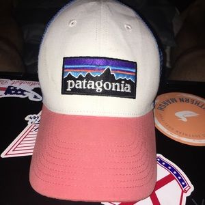 Patagonia p6 trucker hat